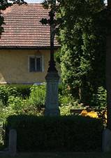 Ostrov common.JPG