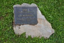 Boskovice-Orel-l�pa-u-kostela-V�ech-svat�ch2014.jpg