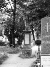 k�� - Juli�novsk� h�bitov