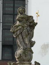 https://upload.wikimedia.org/wikipedia/commons/thumb/2/2b/ImmaculataBruntalDetail.jpg/800px-ImmaculataBruntalDetail.jpg