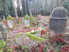 Jewish cemetry Lomnicka 02.jpg
