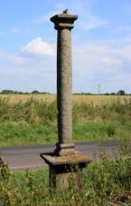 T�ebe�, protected column.jpg