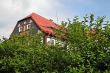 Ruzova-193-.jpg