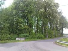 zamek