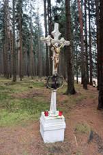 K�� na rozcest� U B�l�ho k��ku v Brdech (Q66566075) 01.jpg