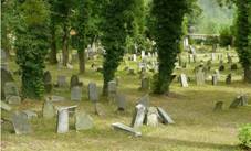 Hranice JewishCemetery 40447.jpg