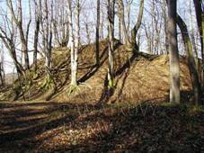 124491 - v��inn� opevn�n� s�dli�t� a hrad Svr�ov