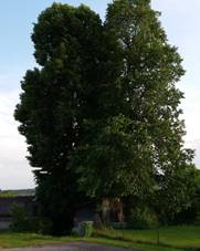https://d34-a.sdn.cz/d_34/c_img_H_Q/v0hBRK.jpeg?fl=res,2200,2200,1
