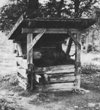 http://www.janov-sy.cz/fotografie/104385232.jpg
