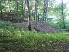 http://www.hrady.cz/data_g/3003/36927.jpg