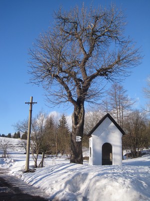 kaple sv. Anny v Horn� Blatn� - �nor 2011