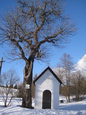 kaple sv. Anny v Horn� Blatn� - �nor 2011