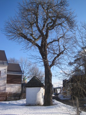 kaple sv. Anny od severu - �nor 2011