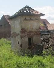 https://upload.wikimedia.org/wikipedia/commons/thumb/5/55/Vesce_holubn%C3%ADk.JPG/1024px-Vesce_holubn%C3%ADk.JPG