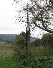 K�� nad Mi�ovicemi u silnice do Lhenic (Q80461884).jpg