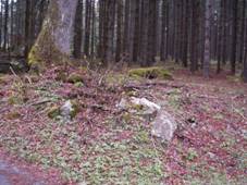 http://znicenekostely.cz/image.php?id=137267&h=800