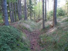 N�hled