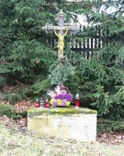 K�� v ulici K P�skovn� v Ho�tic�ch (Q94439772) 02.jpg