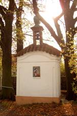 https://upload.wikimedia.org/wikipedia/commons/thumb/f/fb/Ritka-kaplicka.jpg/800px-Ritka-kaplicka.jpg