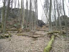 http://www.hrady.cz/data_g/259/152269.jpg