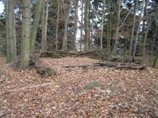 Hradiste (1).JPG
