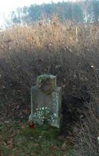 K�� u Vranova nedaleko dr�hy (Q66056582).jpg