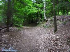 Reli�fn� zbytky hradu, p��stupov� cesta, val a p��kop. (foto: Kamler)