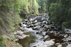 Srn�, Vydra u Turnerovy chaty (2013-08-14; 02).jpg