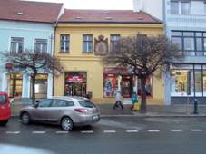 Overview of cultural monument Karlovo n�m�st� 12, T�eb��.JPG