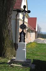 Radonice (Doln� Bukovsko), k��ek.jpg