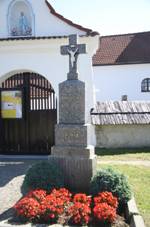 Z�padn� k�� v Doln� Bory, Bory, okres ���r nad S�zavou.jpg