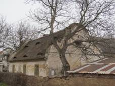 Stekn�k 27.JPG